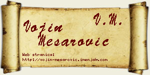 Vojin Mesarović vizit kartica